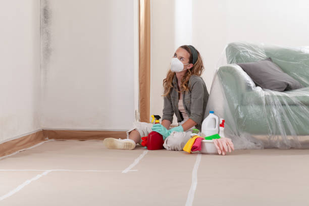 Reliable Black Mold Remediation contractor in Williston Park, NY by 24 Hour Mold Removal